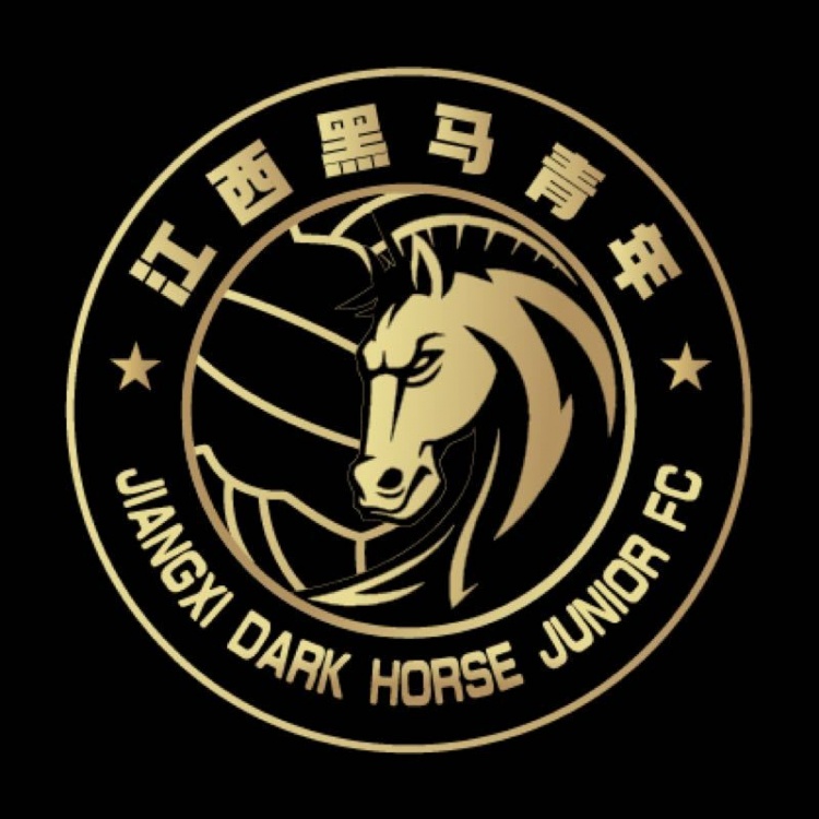  官方：江西黑馬青年完成異地遷移程序，更名為溫州職業(yè)足球俱樂(lè)部